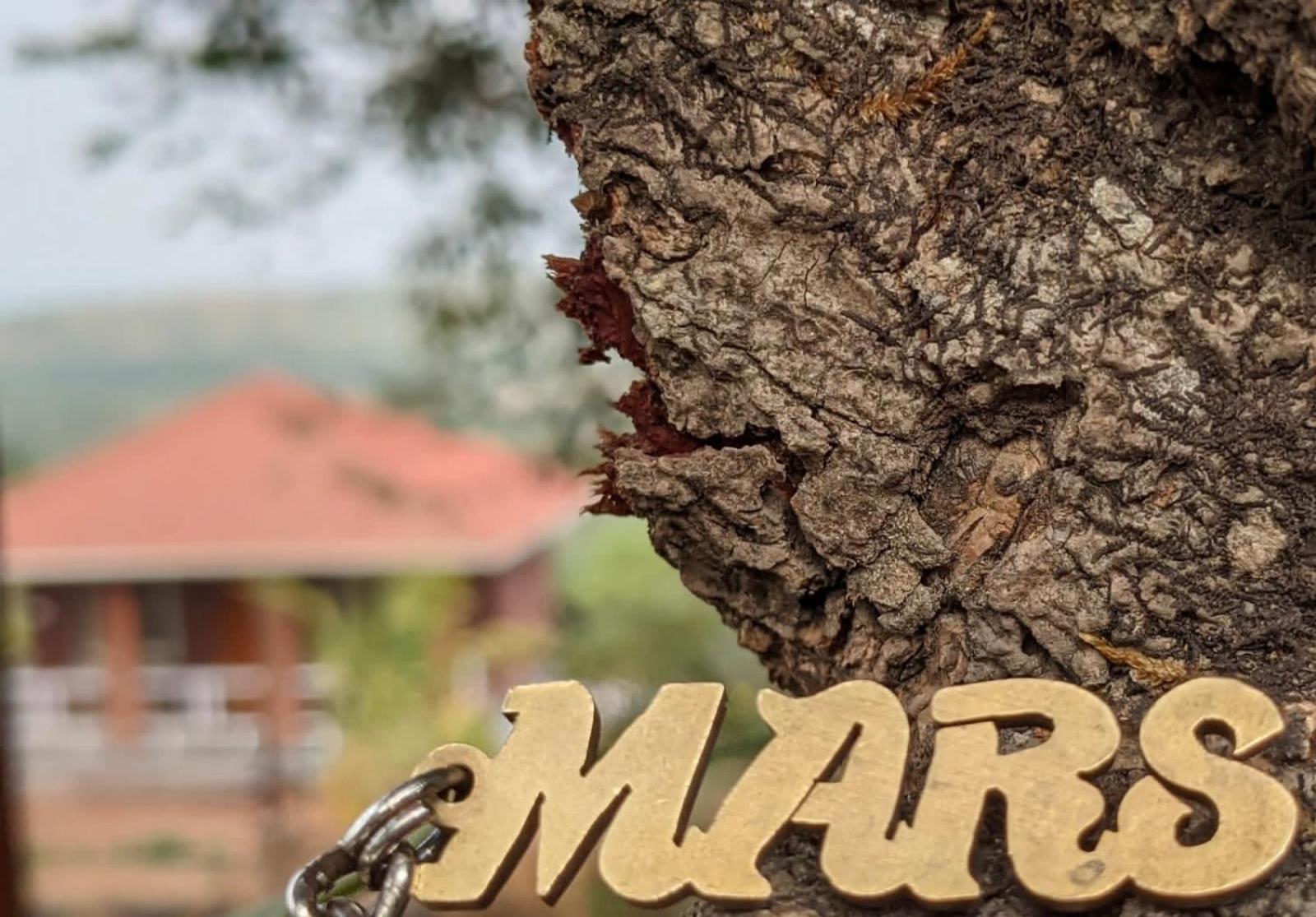 Mars Jungle Adventure Stud Farm With Private Jacuzzi Villa Narsinge Luaran gambar