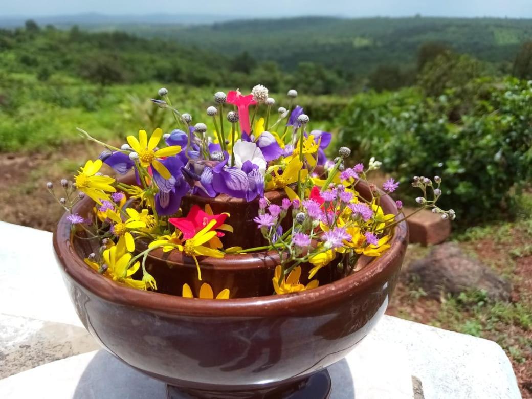 Mars Jungle Adventure Stud Farm With Private Jacuzzi Villa Narsinge Luaran gambar