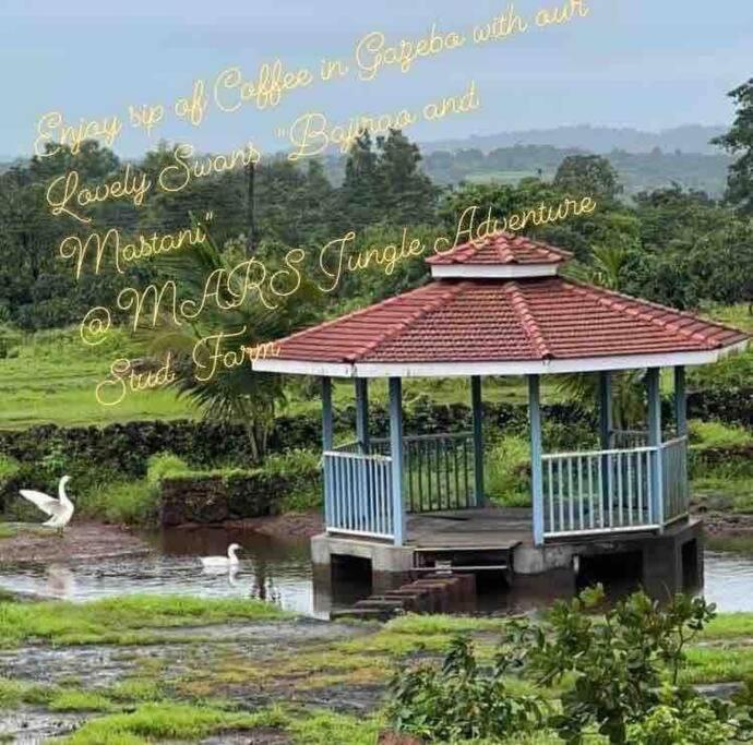 Mars Jungle Adventure Stud Farm With Private Jacuzzi Villa Narsinge Luaran gambar